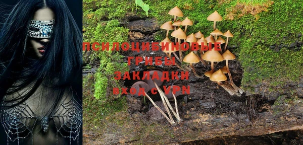герыч Осташков