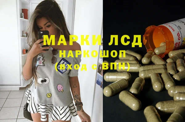 крисы Няндома