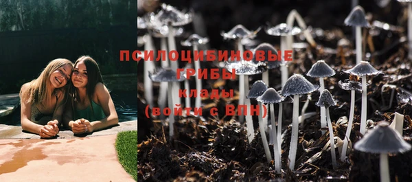 герыч Осташков