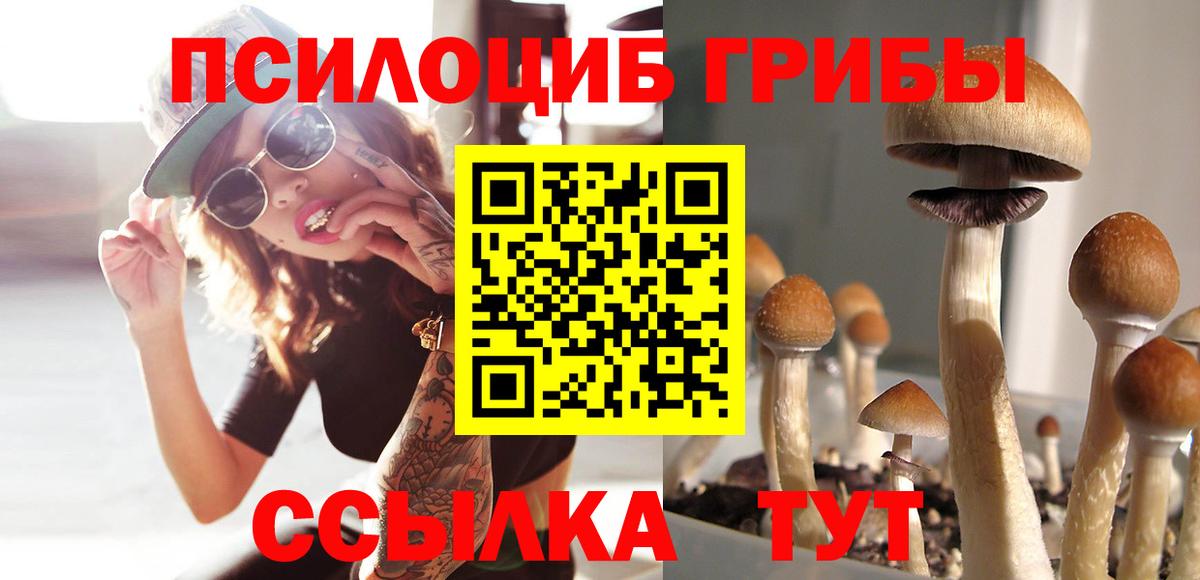 Галлюциногенные грибы GOLDEN TEACHER Балабаново