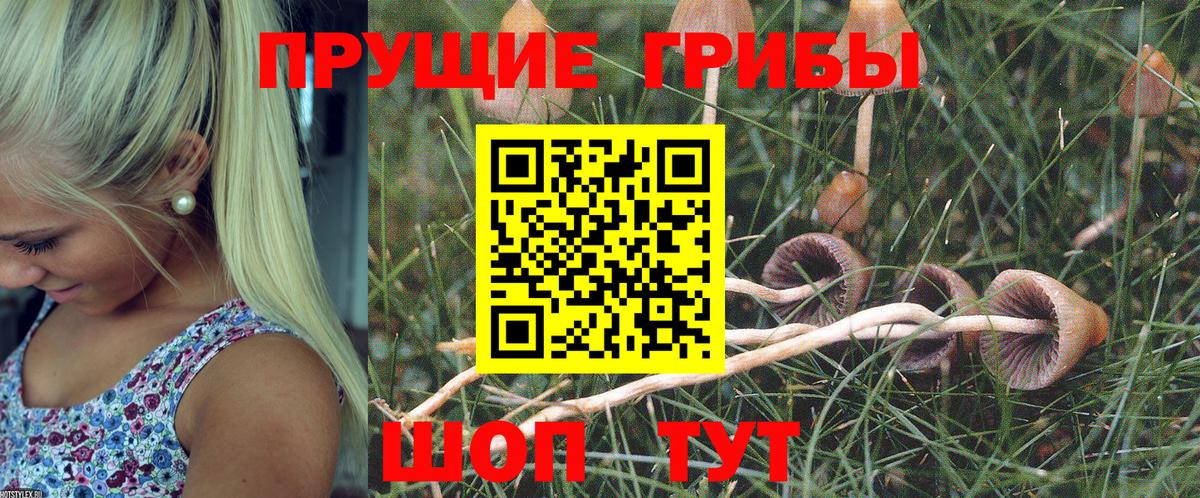 Галлюциногенные грибы Cubensis  Псилоцибиновые грибы MAGIC MUSHROOMS  Вход с VPN  Балабаново 