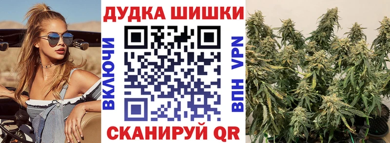Бошки Шишки MAZAR  Балабаново 